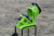 Измельчитель с ящиком Greenworks GACSB 2500W